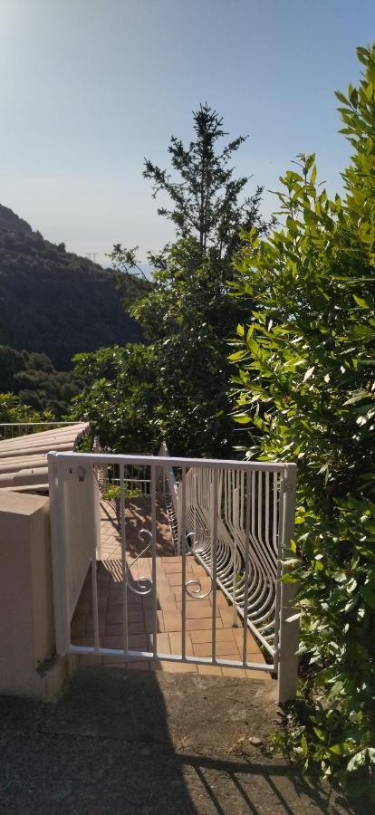 A Tana Di A Volpe Apartment Ville-di-Pietrabugno Ngoại thất bức ảnh